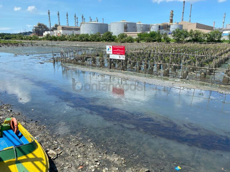 Cairan berwarna coklat pekat dengan bau menyengat khas minyak diduga mencemari kawasan Mangrove Margasari, Balikpapan Barat