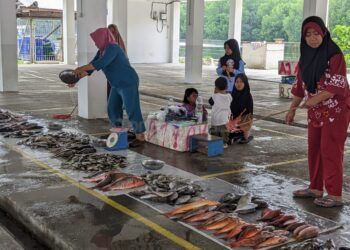 Permudah Pengurusan Izin Kapal Nelayan, Bontang Butuh UPTD Pangkalan Pendaratan Ikan