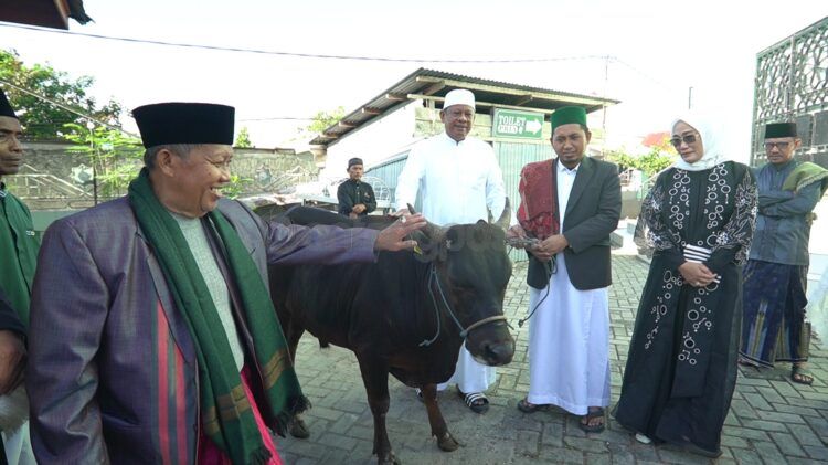 Wali Kota Basri meninjau hewan kurban di momen Iduladha
