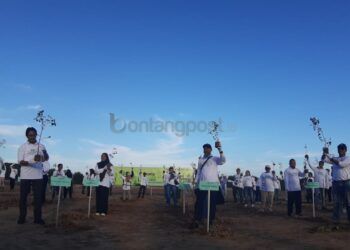 PT KNI Tanam Enam Ribu Mangrove di Bontang Kuala