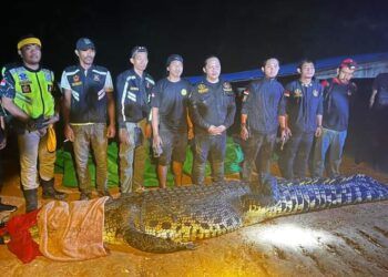 Pria di Sangkulirang Ditemukan Meninggal Usai Diterkam Buaya