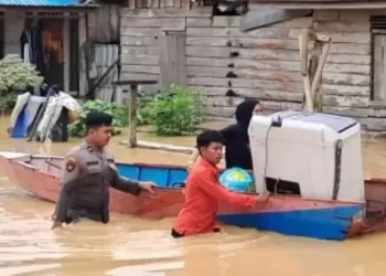 Hujan 8 Jam, Banjir Rendam 4 Desa dan Kelurahan di IKN