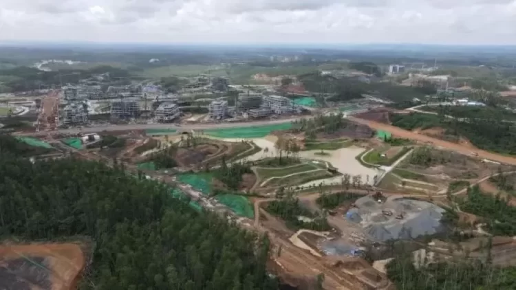 Kawasan Inti Pusat Pemerintahan IKN yang saat ini dibangun gedung perkantoran, berdiri di atas areal hutan tanaman industri yang didominasi tanaman eukaliptus. (FUAD MUHAMMAD/KALTIM POST)