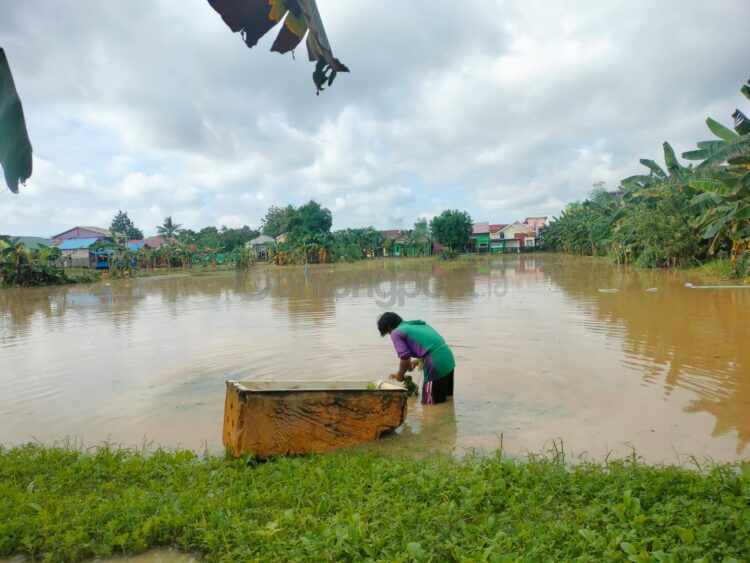 Warga saat berusaha mengurangi air banjir di lahan yang terendam (Jelita/bontangpost.id)