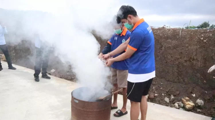 Para tersangka membakar sendiri ganja seberat 181,3 gram yang membuatnya ditahan BNNP.