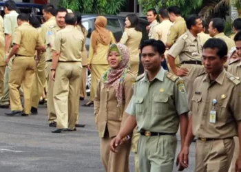 Dua Kursi Jabatan di Bontang Kosong, Pansel Buka Seleksi JPT Pratama