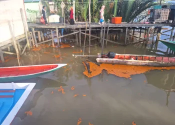 Sudah Seminggu Warga Pulau Derawan Khawatirkan Limbah, Instansi Teknis Belum Turun Tangan