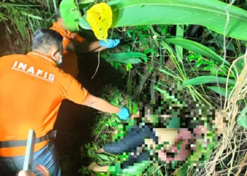 Mayat Perempuan Tanpa Identitas Ditemukan di Tenggarong Seberang, Darah Keluar dari Mulut