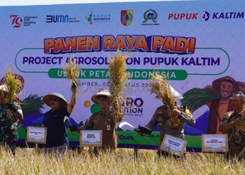 Pupuk Kaltim Sukses Tingkatkan Produktivitas Padi di Jember Lewat Program Agrosolution