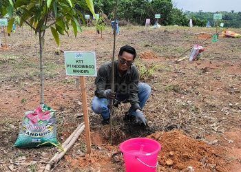PT IMM Ikut Hijaukan Tiga RTH di Bontang