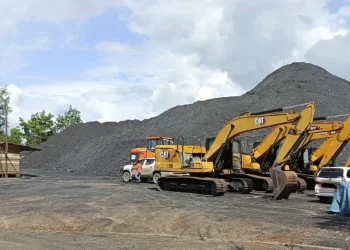 Tidak Ada Tempat bagi Perusak Lingkungan, Hutan Lindung, dan Tambang Ilegal