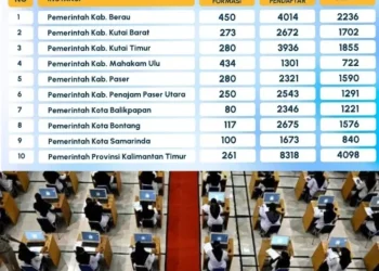 Pelamar CPNS Kaltim Membeludak, Hingga 7 September Tembus 31.799 Pendaftar