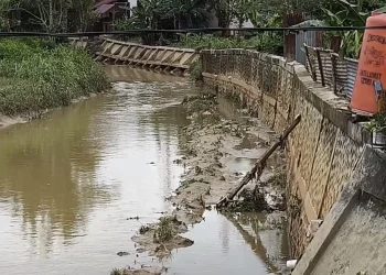 Dinas PUPRK Janji Segera Perbaiki Turap Patah di Api-Api