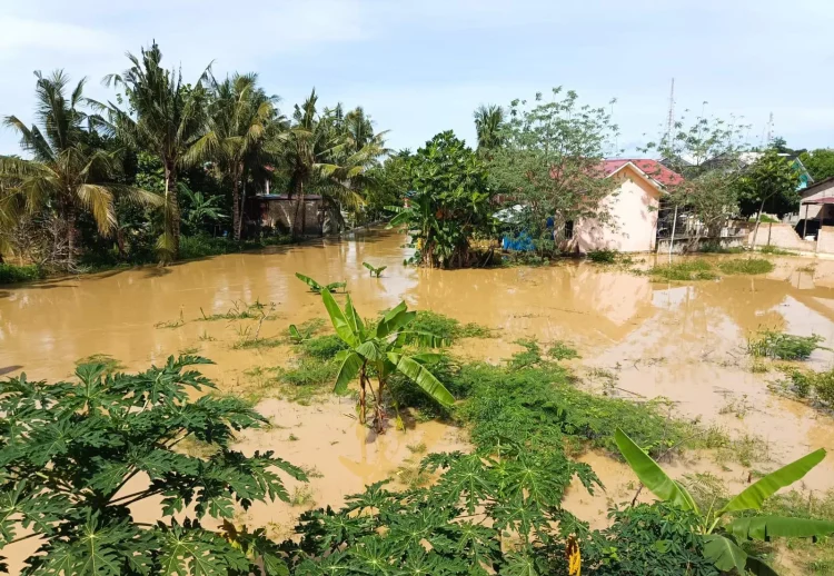 Kondisi turap di RT 29 Kelurahan Api-Api tenggelam akibat luapan air sungai namun konstruksi ini juga telah miring diduga akibat timbunan saat normalisasi. (Adhiel Kundara/KP)