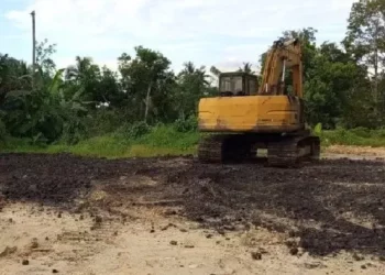 Penambangan Batu Bara Berkedok Galian C Berlangsung Terang-terangan, Inspektur Tambang Ngaku Tak Terima Laporan