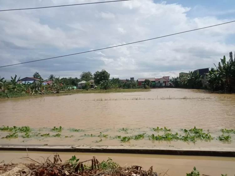 Pemkot Bontang mendapatkan bantuan keuangan dari Pemprov Kaltim senilai Rp 226 miliar dengan mayoritas kegiatan yang diakomodasi yakni penurapan sungai.