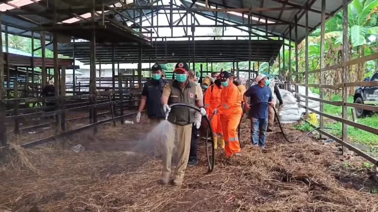 Pemprov Kaltim bersama OPD terlait melakukan penyemprotan insektisida di salah satu peternakan di Jalan Poros Samarinda-Bontang. (EKO PRALISTIO/KP)