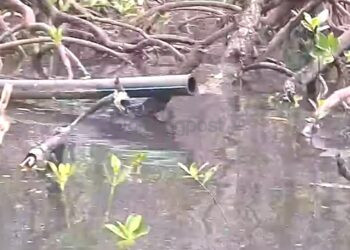 PT Energi Unggul Persada Akui Buang Limbah ke Laut Bontang, Klaim Sudah Berizin