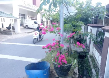 Ketua RT 19 Api-Api Minta Pelebaran Drainase karena Sudah Tidak Sanggup Menampung Luberan Air