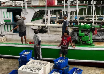 UMKM Bontang Dinilai Potensial Berkembang, Namun Perlu Dukungan Beberapa Infrastruktur Penunjang