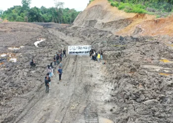 Tambang Batu Bara Ancam Kebun Raya Samarinda, Luas Galian Sudah 3 Hektare