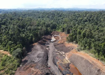 Gakkum LHK Selidiki Perusakan Kawasan Kebun Raya Unmul, Ketua KSU Pumma Mangkir dari Panggilan