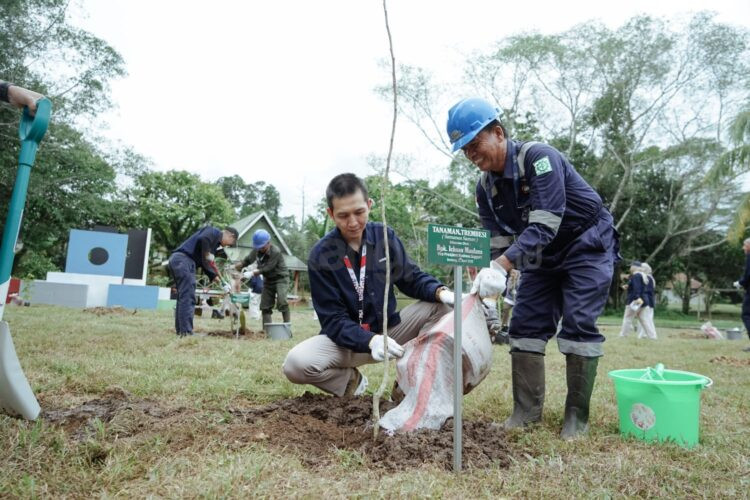 Vice President Business Support Badak LNG, Ichsan Maulana (duduk) saat menanam bibit pohon trembesi. (Corporate Communication & General Support Badak LNG).