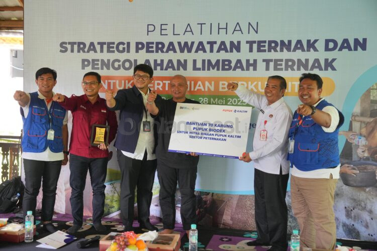 Pupuk Kaltim tingkatkan kapasitas mitra binaan di Kota Bontang dan Kutai Timur, terkait strategi perawatan hewan ternak secara terintegrasi.