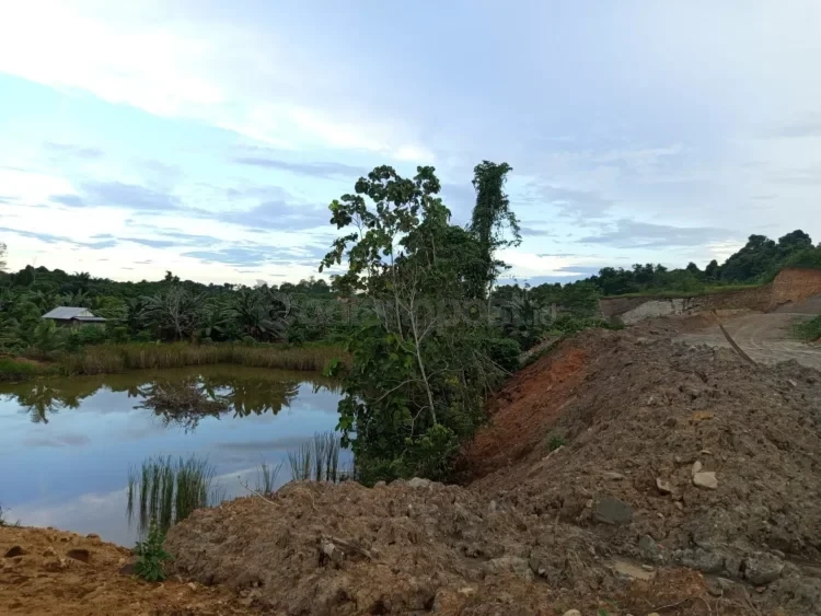 Kebun petani seluas dua hektare yang sudah dipenuhi pohon buah-buahan dan sayuran itu terancam rusak akibat kegiatan penambangan yang sudah merusak kolam ikan di area kebun petani. (Sapos)