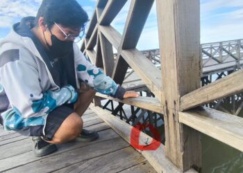 Bukan Hanya Baut, Sambungan Kayu Pelataran Bontang Kuala Juga Pakai Paku