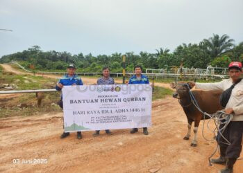 PT KDC Salurkan 48 Hewan Kurban Kepada Masyarakat Sekitar Perusahaan