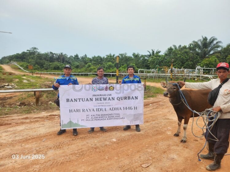 Penyaluran hewan kurban di beberapa titik. (IST)