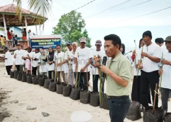 Pemberdayaan Pesisir, Pupuk Kaltim Bekali Warga Gusung Keterampilan Budidaya Mangrove