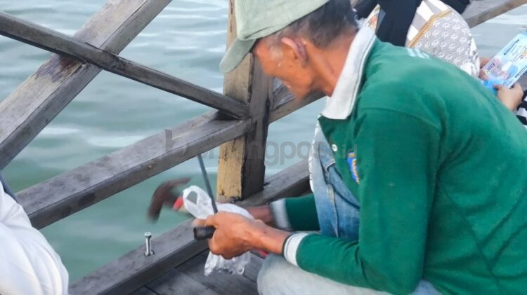 Petugas memperbaiki jembatan pelataran Bontang Kuala.