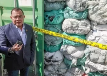 Tambang Batu Bara Ilegal di Tahura Bukit Soeharto Kaltim Terungkap, Negara Rugi Rp5,7 Triliun