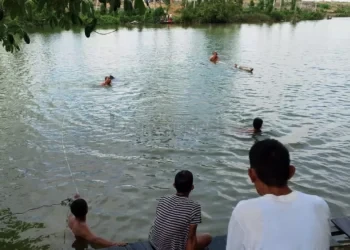 Sudah 50 Korban, Jatam Desak Pemerintah Pusat Evaluasi Menyeluruh Pertambangan di Kaltim