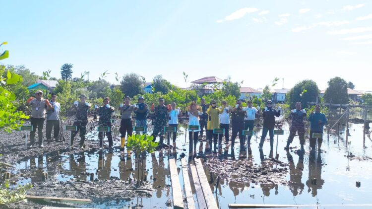 PT Indominco Mandiri (IMM) bersama Kodim 0908/Bontang melakukan penanaman 1.000 bibit pohon mangrove di Kawasan Ekowisata Mangrove, Jalan Cumi-Cumi 3, Tanjung Laut Indah, Rabu (02/07/2025). (Dwi/Bontang Pos)