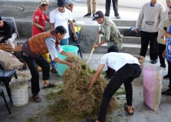 Pendampingan PKT BERSERI, Pupuk Kaltim Perkuat Kapasitas Peternak Bulutana Gowa