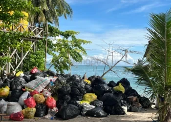 Pulau Derawan Darurat Sampah, Limbah 46 Ton Per Hari Ancam Ekosistem Laut