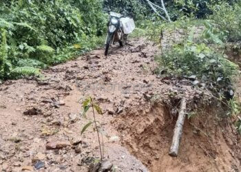 Dulu Berprestasi Internasional, Kini Hutan Wehea Terancam Jalan Rusak