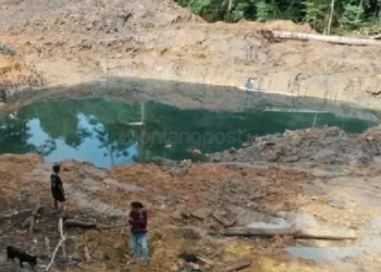 PN Samarinda Batalkan Penetapan Tersangka Kasus Perambahan KHDTK Unmul