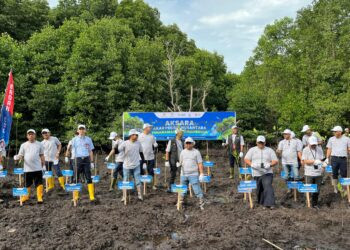 Lewat Program AKSARA, Badak LNG Tanam 4.000 Bibit Mangrove di Berbas Pantai