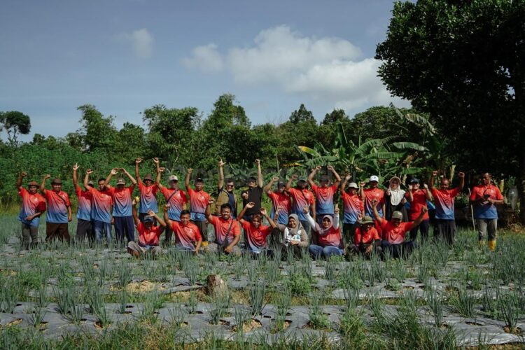 Direksi dan Manajemen Badak LNG melakukan kunjungan ke lokasi program pertanian CSR di HOP 7 yang dikelola oleh Kelompok Tani Karya Bersama