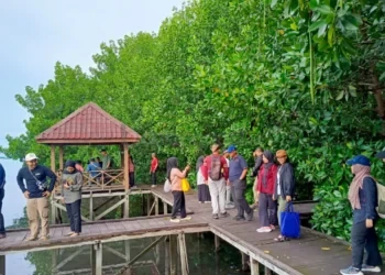 Mangrove Bontang Jadi Andalan Konservasi, Sumbang PNBP hingga Rp45 Juta per Bulan