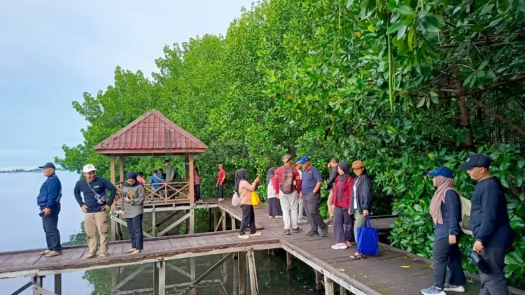 Rombongan Media Visit dan Lingkar Temu Pengelolaan Mangrove Lestari meninjau kawasan Bontang Mangrove Park, bagian dari Taman Nasional Kutai.