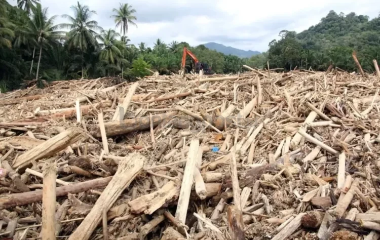 Tumpukan gelondongan kayu memenuhi aliran sungai di Sumatera Utara pascabanjir bandang.