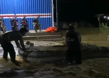 Sebagian Wilayah di Kutai Timur Terendam Banjir, 300 Kepala Keluarga Dievakuasi Tim Gabungan