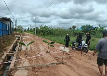 Kesal Jalan Rusak Tak Diperbaiki, Warga Singa Geweh Kutim Blokade dengan Pohon Pisang