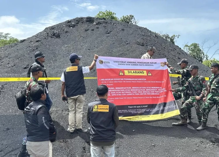 Tim gabungan mengamankan sejumlah tumpukan atau stockpile batu bara hasil PETI alias illegal mining. (IST)
