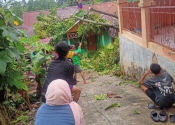 Angin Kencang Bikin Pohon Tumbang, Atap Rumah Warga Berebas Tengah Jebol